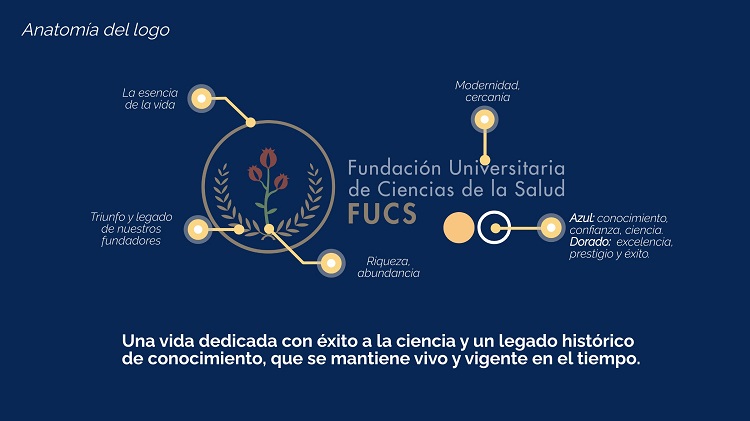 Imagen anatomía del logo FUCS Anatomía logo FUCS